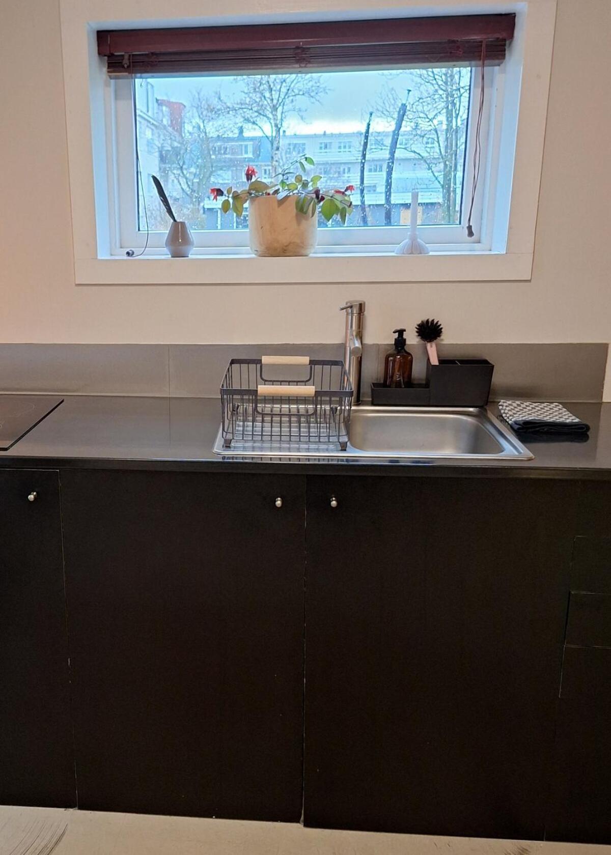 Central Reykjavik - Garden Cottage Εξωτερικό φωτογραφία