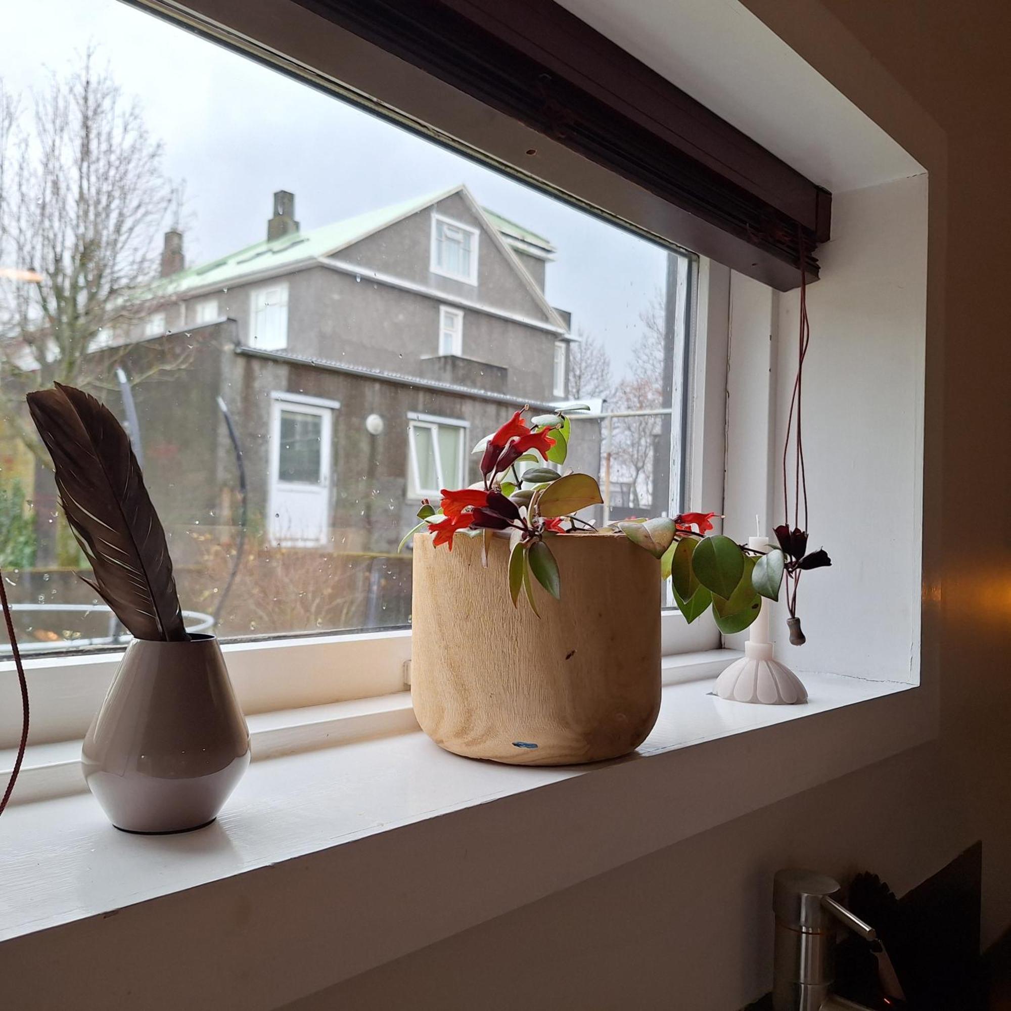 Central Reykjavik - Garden Cottage Εξωτερικό φωτογραφία